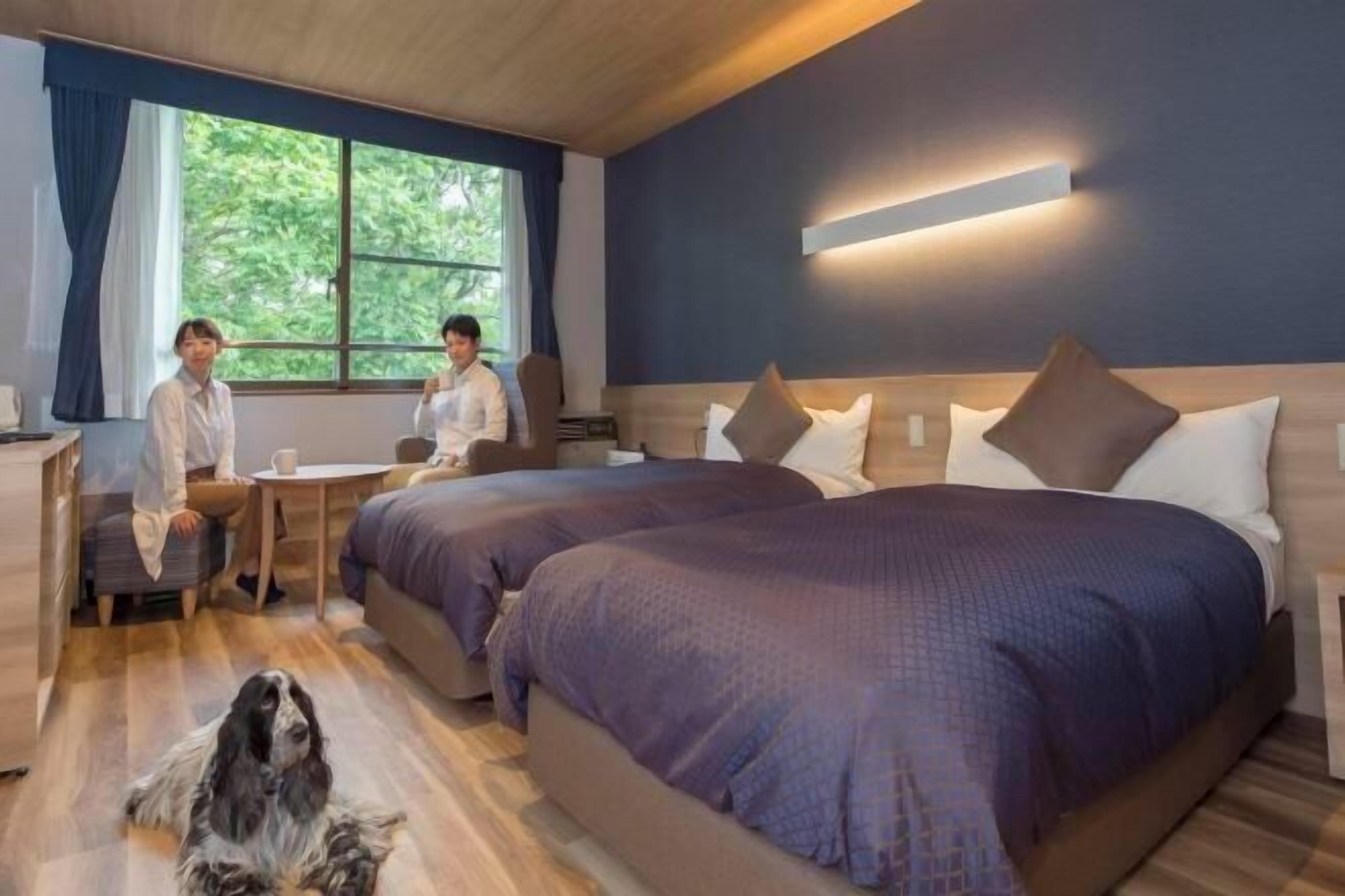 Truy cập Internet không dây miễn phí, bộ trải giường 