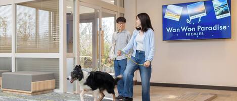 A modern interior with a large TV screen displaying 'Wan Wan Paradise Premier' and a dog on a leash.