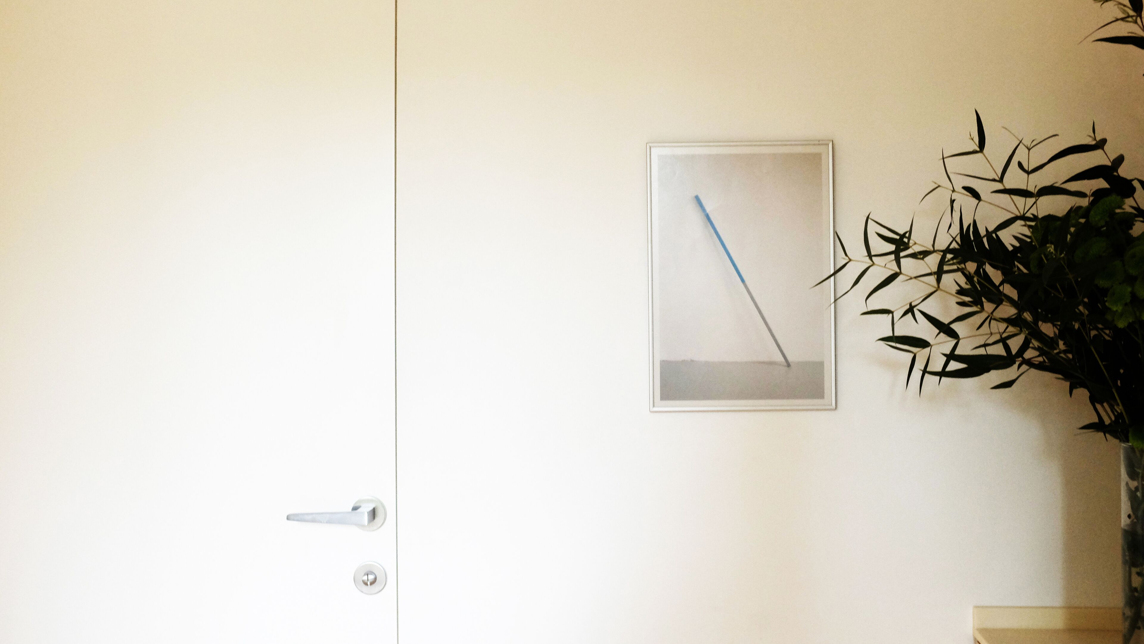 A door with a handle, a framed picture on the wall, and a plant to the right.