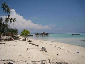 A beach with clear turquoise water, palm trees, and overwater bungalows.