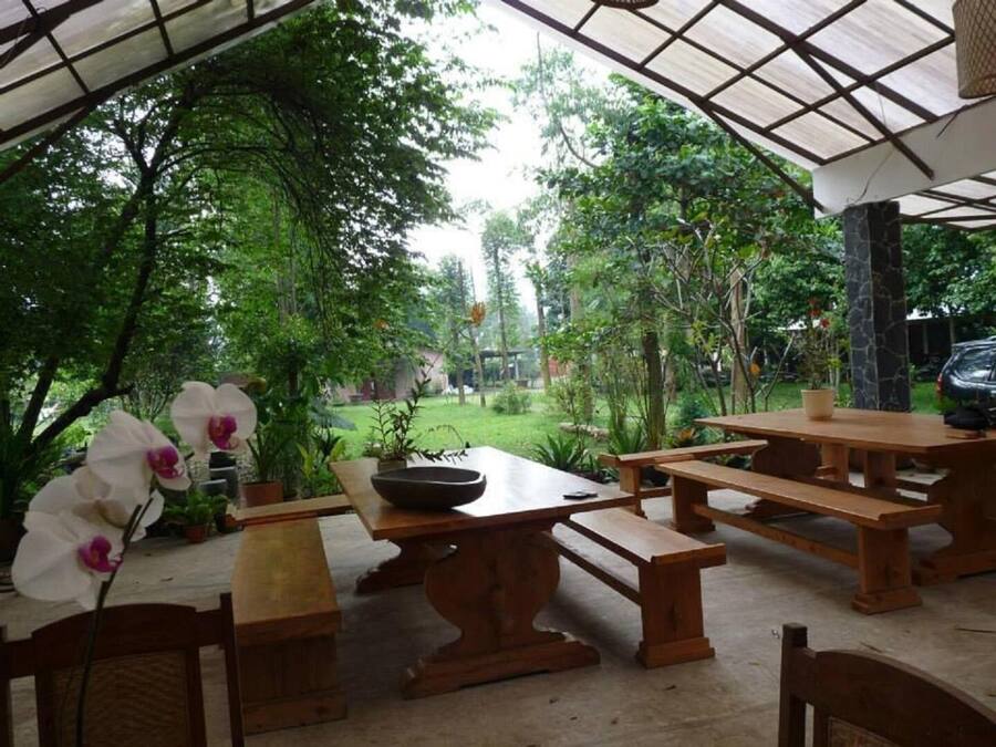 Un patio al aire libre con mesas y bancos de madera, rodeado de abundante follaje y árboles.