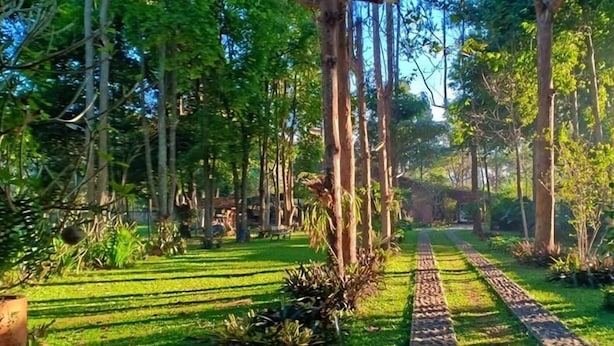 A pathway through a garden with trees and grass. - Ronia Mountain Villa Lembang (Lembang)