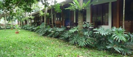 A row of single-story buildings with large windows, surrounded by lush greenery and a well-maintained lawn.