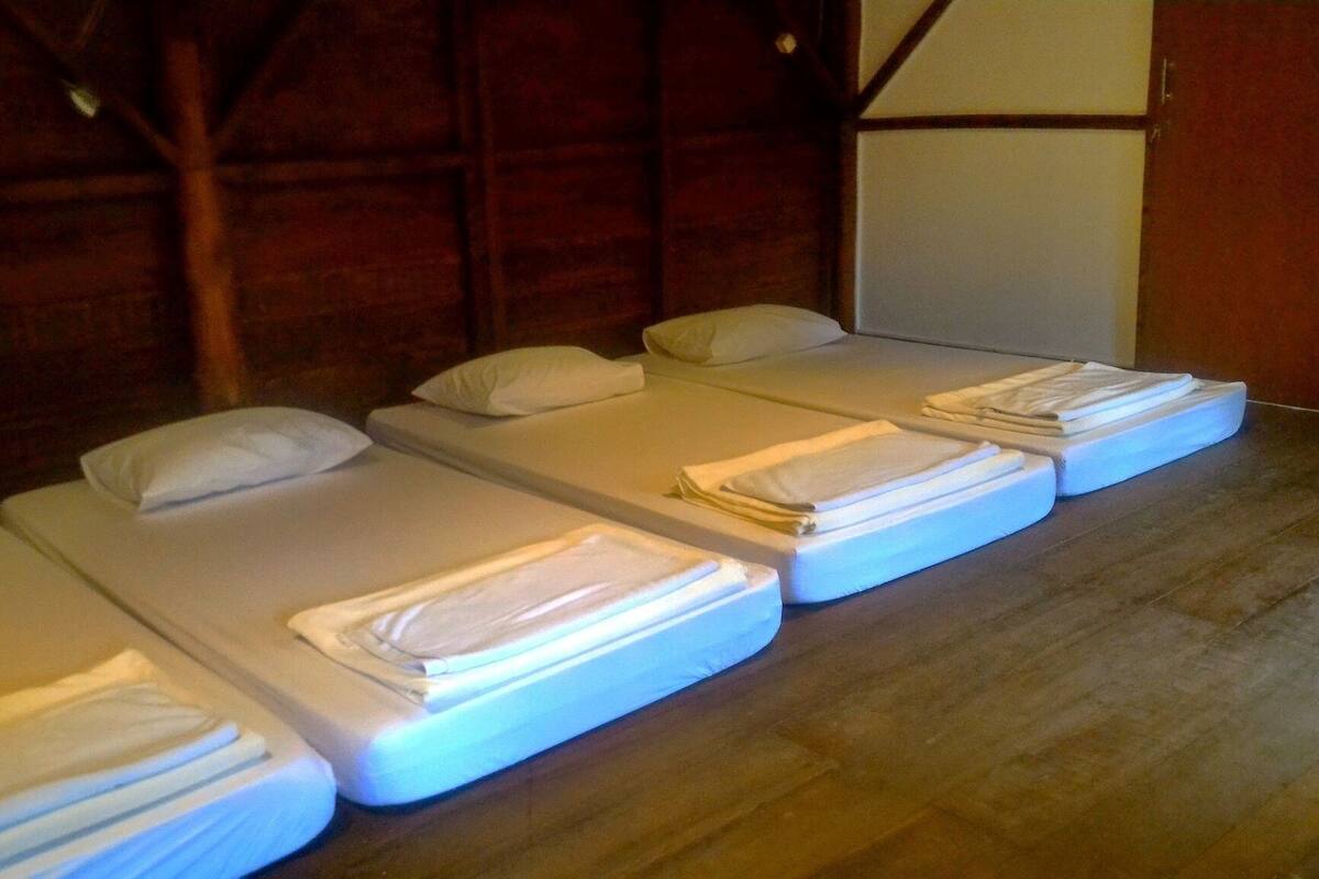 A row of four neatly made beds with white linens, arranged in a room with wooden walls and a wooden floor.
