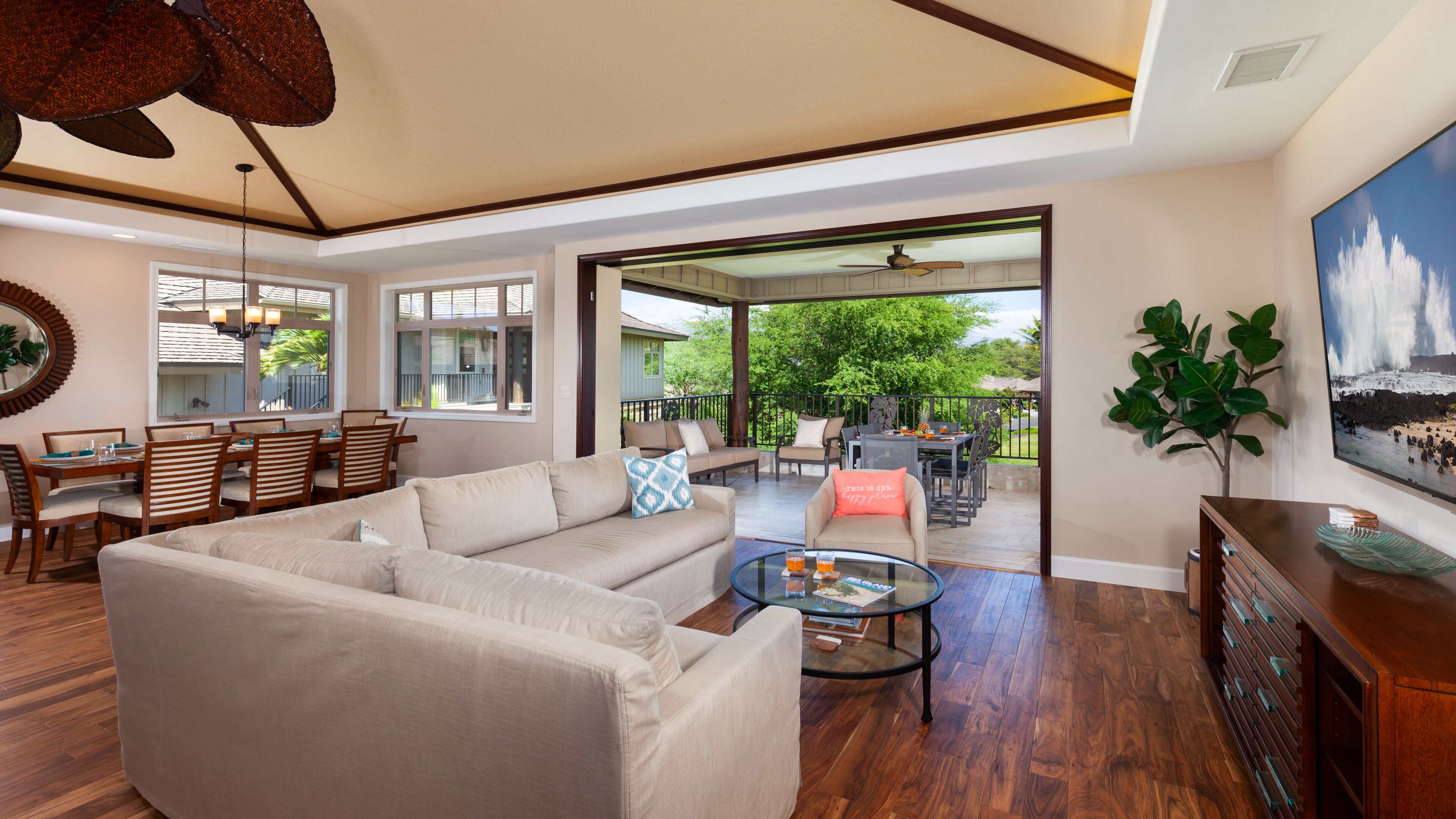 TV, books, music library, stereo