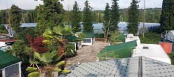 Pamping Jeju Caravan