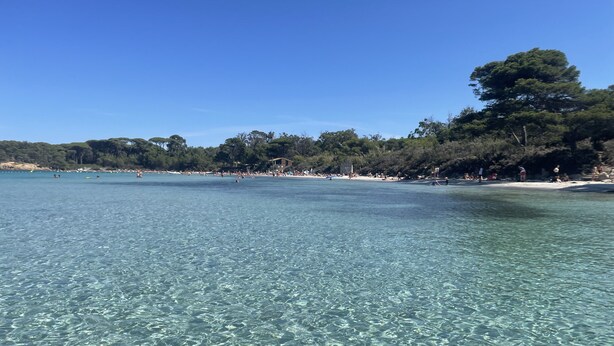 Une plage à l’eau claire, avec un rivage sablonneux et des arbres en arrière-plan.