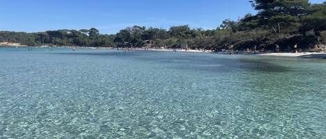Una spiaggia nelle vicinanze