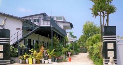 Palm Island Hostel