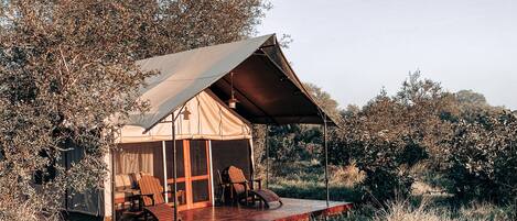 A tented accommodation with a deck and chairs, surrounded by natural vegetation.