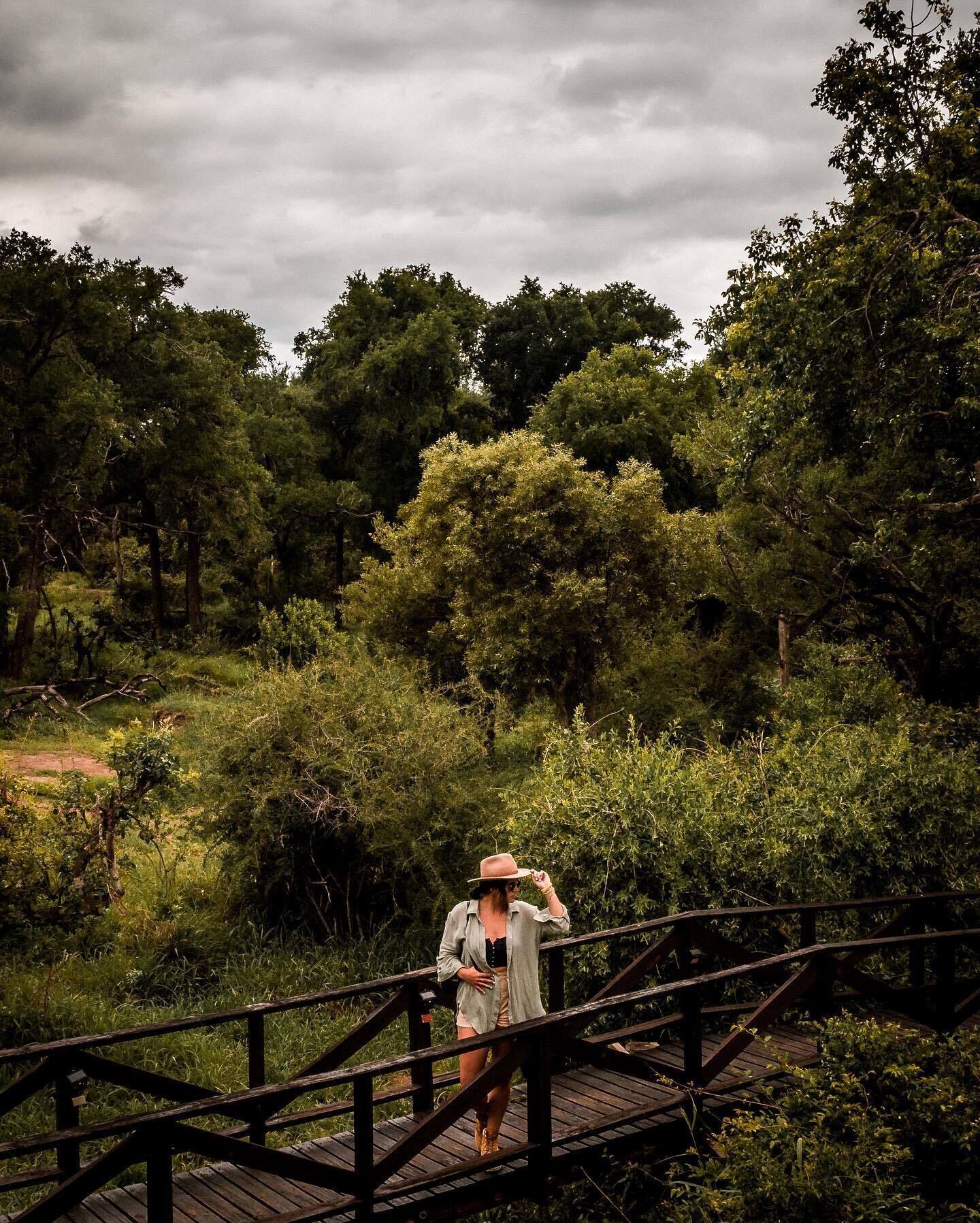 A person standing on a wooden bridge in a forested area.