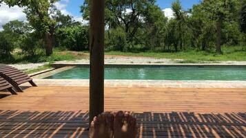 Kolam renang outdoor