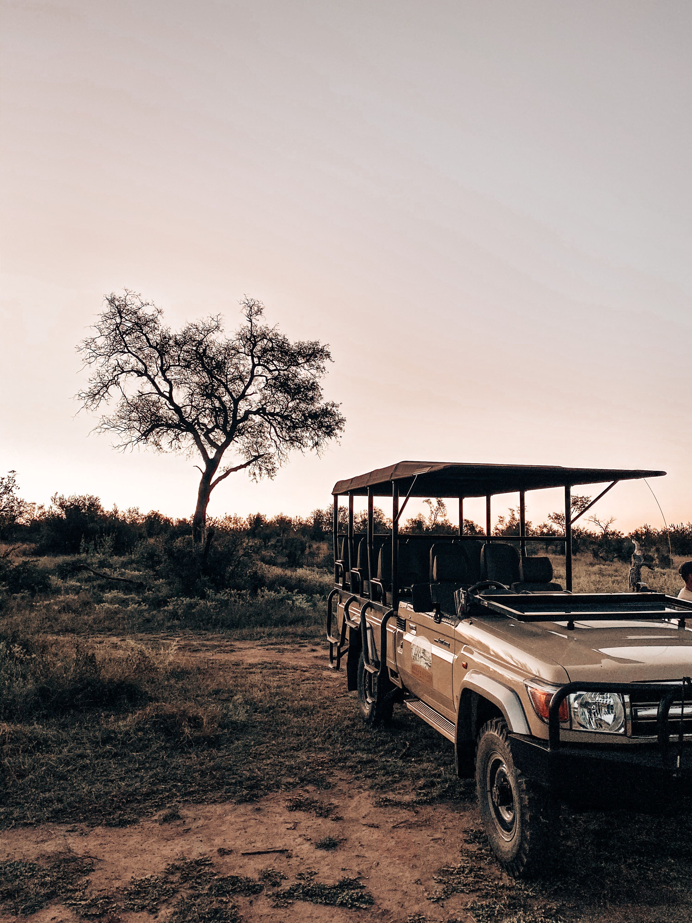 A safari vehicle parked in a natural setting with a tree in the background.