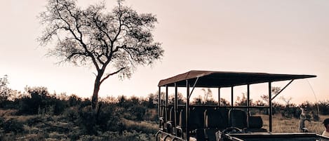 A safari vehicle parked in a natural setting with a tree in the background.