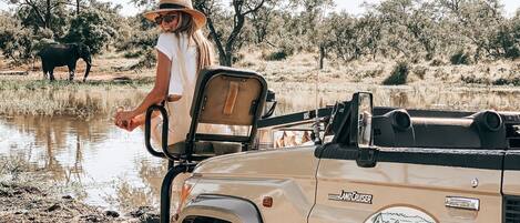 Safari