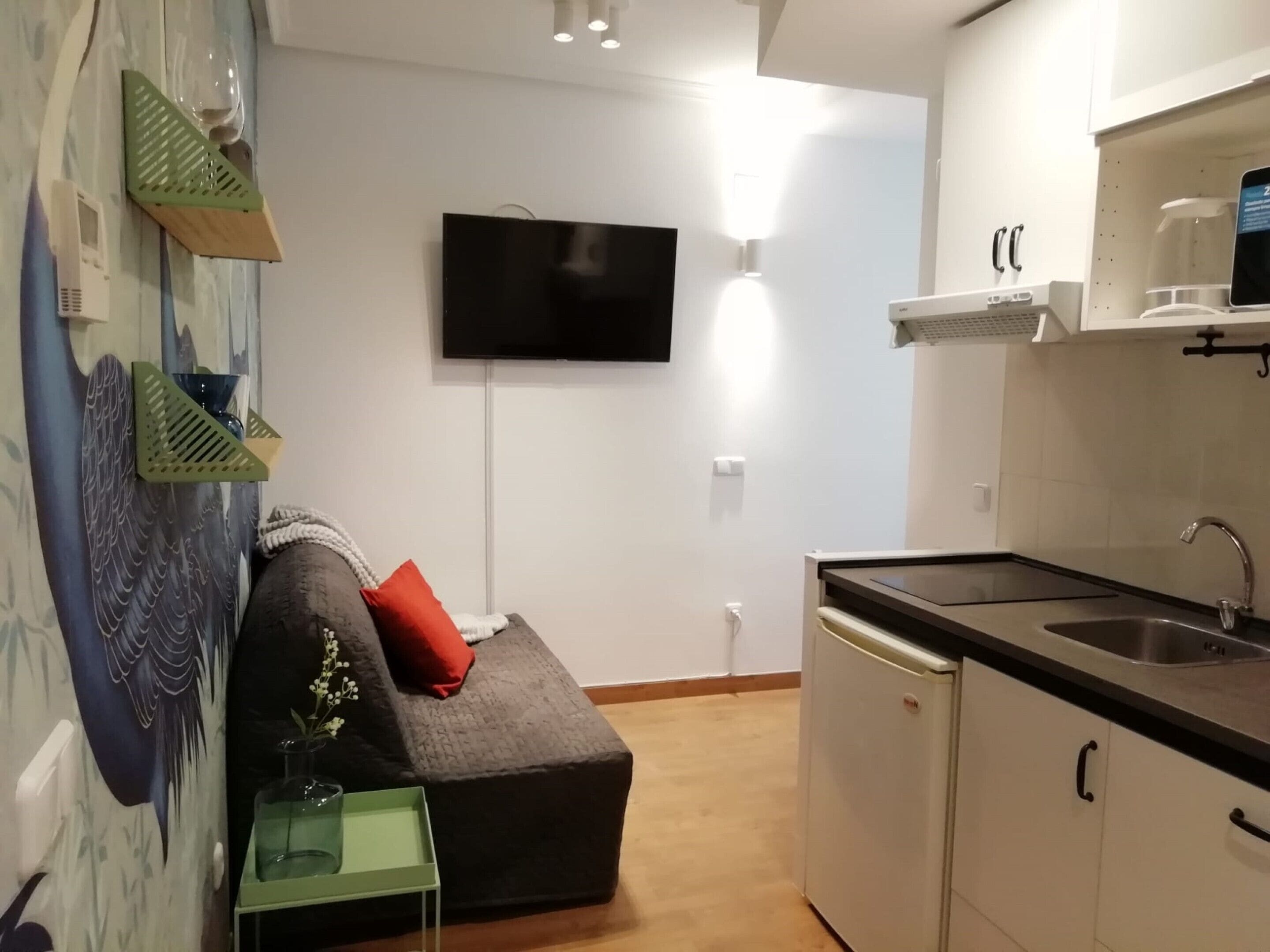 Ein kompakter Wohnbereich mit Sofa, Flachbildfernseher, Küchenzeile mit Spüle und Schränken sowie einer Wandregal.