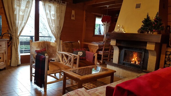 TV, fireplace, video games, DVD player