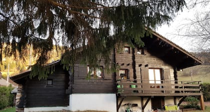 Traditional Mountain Chalet, located in the Haut-Jura Natural Park