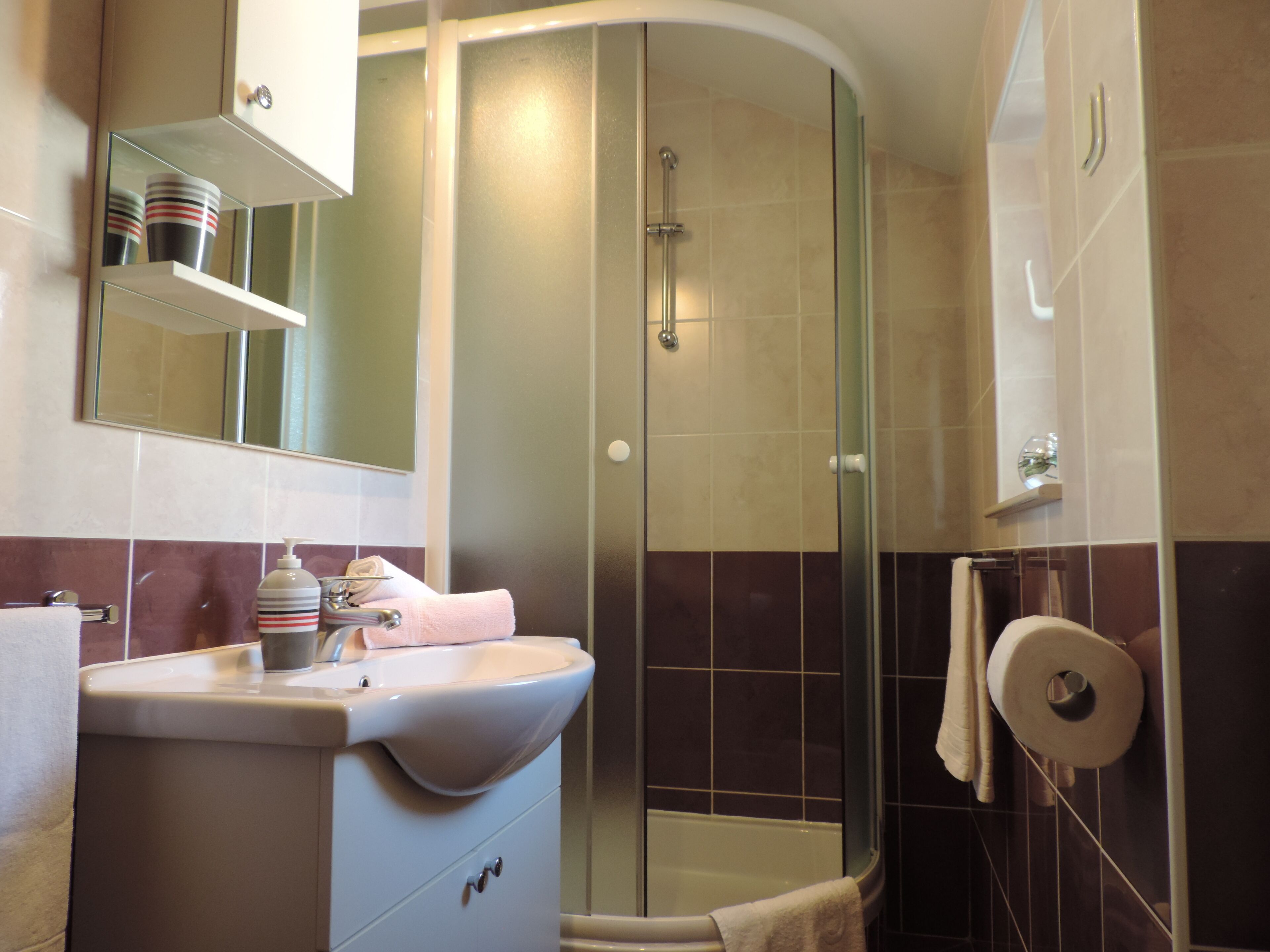 Apartament (Comfort One Bedroom Apartment) | Bany | Dutxa, assecador de cabells, tovalloles i sabó 