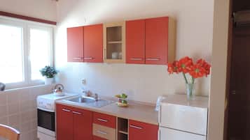 Apartment (Comfort One Bedroom Apartment) | Private kitchen | Fridge, electric kettle