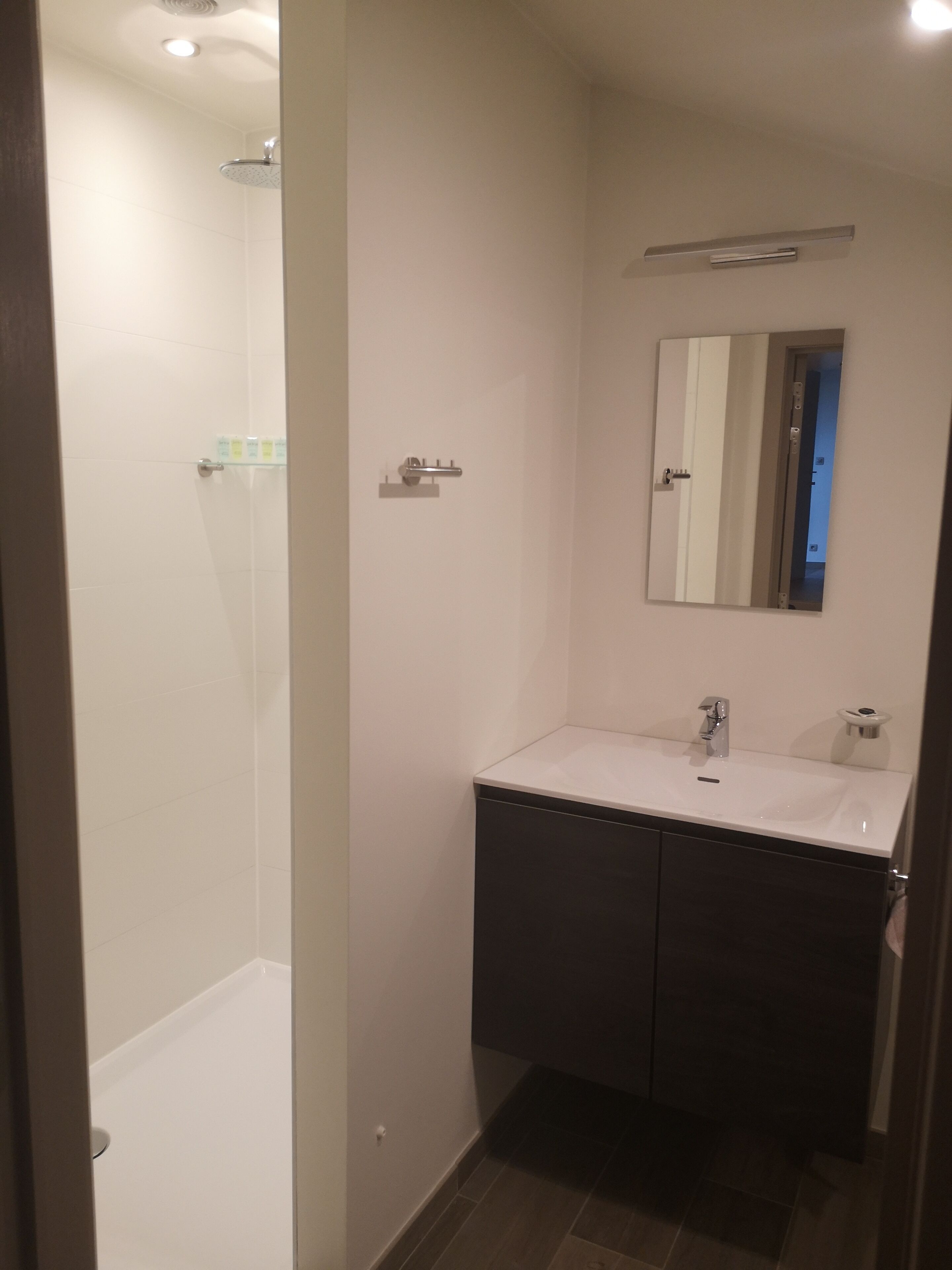 A modern bathroom with a shower, a sink, and a mirror.