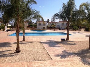 Relax by the serene pool surrounded by palm trees and a paved walkway.
