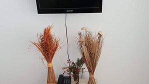 A flat-screen TV mounted on a wall above a wooden desk with a telephone and decorative plants. - Royal Bansko Aparthotel - 1 Bed Sleeps 4 (Bansko)