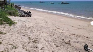 Una playa con cielo despejado, palmeras y barcos en el agua.