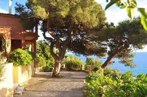 Property grounds - Villa Takis Pelekas Beach (Pelekas Korfu)