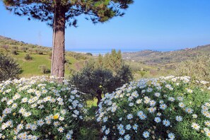 المنطقة المحيطة بالمنشأة