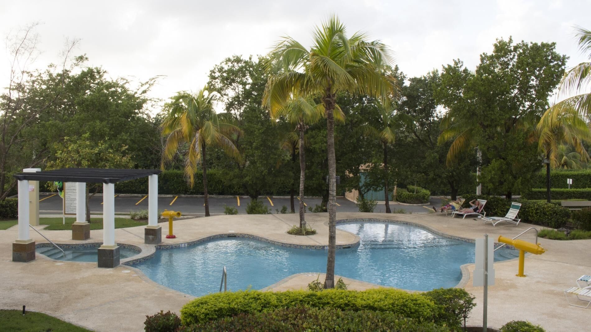 A swimming pool with a curved design, surrounded by palm trees and a gazebo.