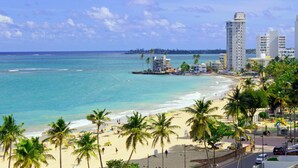 Uma praia com palmeiras, um cais e edifícios ao fundo.