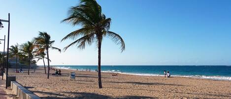 A beach with palm trees, a clear sky, and the ocean.