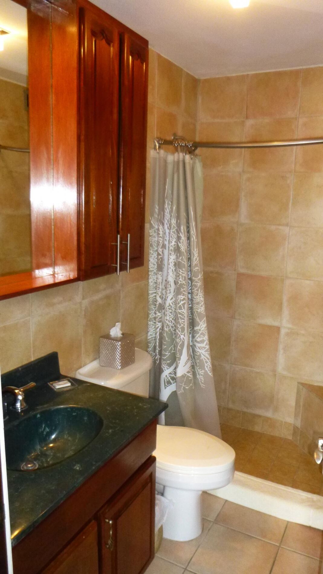 A bathroom with a wooden vanity, a sink, a toilet, and a shower area.