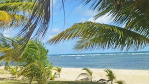 A beach with palm trees and ocean waves. - Crystal Blue (Luquillo)