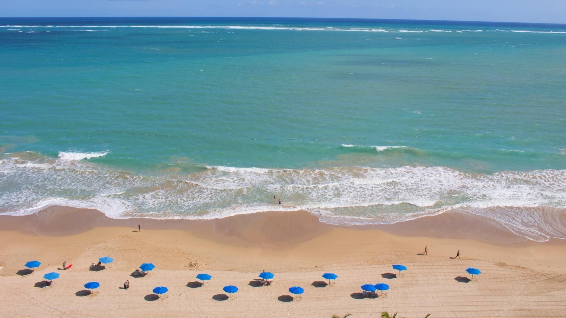 Une plage à l’eau turquoise et limpide, avec un rivage sablonneux et plusieurs parasols bleus.