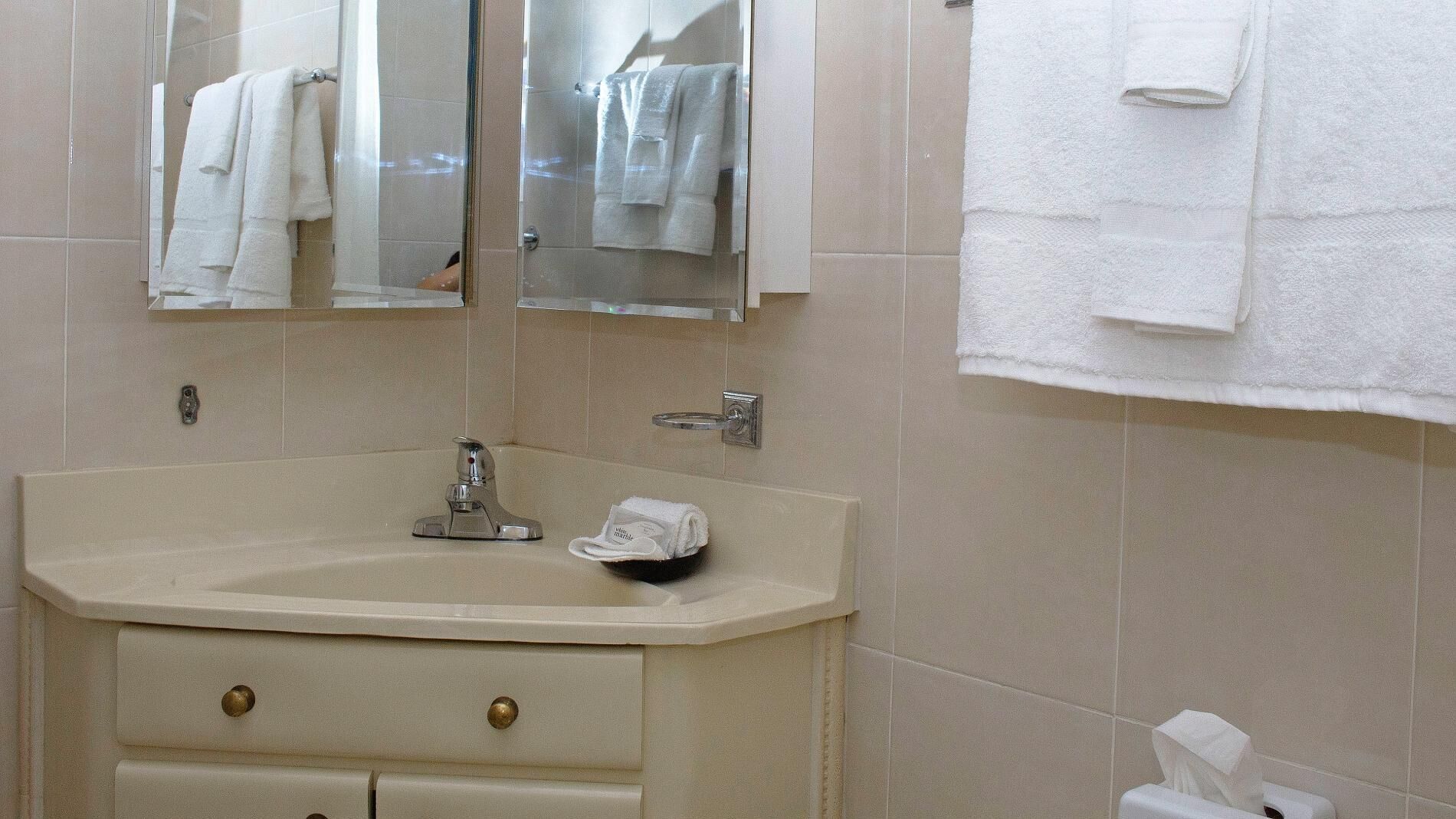 A bathroom with a sink, mirror, towel rack, and a tissue box.