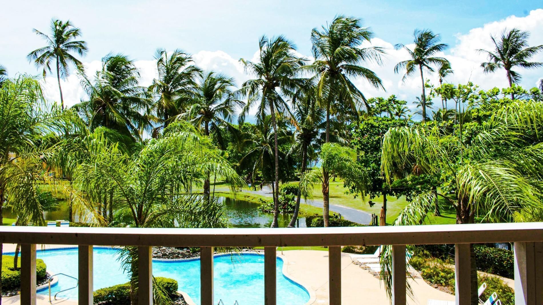 A pool area with a view of a golf course and palm trees.