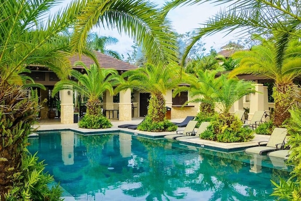 Outdoor pool, sun loungers