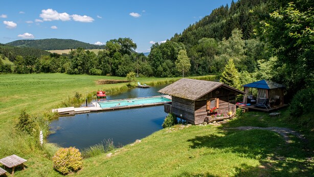 A rustic cabin with a dock extending into a calm lake, surrounded by lush greenery and hills. - Tameggerhof (Gurk)