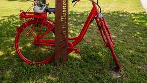 A red bicycle parked under a tree with a sign that reads "Willkommen" in front of a yellow building. - Tameggerhof (Gurk)
