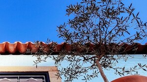 Un bâtiment doté d’une fenêtre ornée d’un motif géométrique, d’un arbre planté dans un grand pot et d’un mur recouvert de carreaux bleus.
