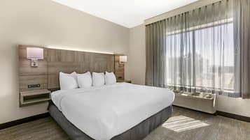 A hotel room with a large bed, bedside lamps, a built-in heater, and a large window with curtains.