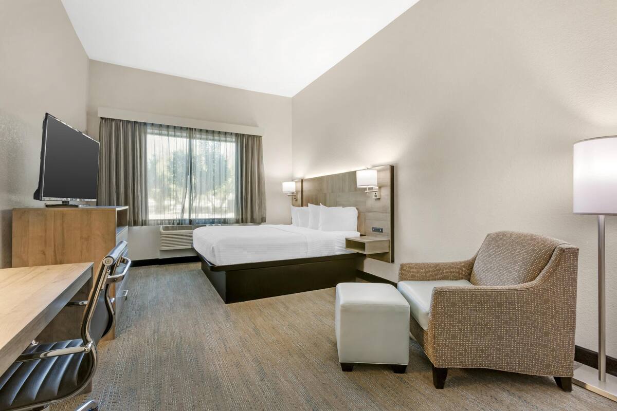 A hotel room with a bed, a desk with a TV, a chair, a lamp, and a window with curtains.