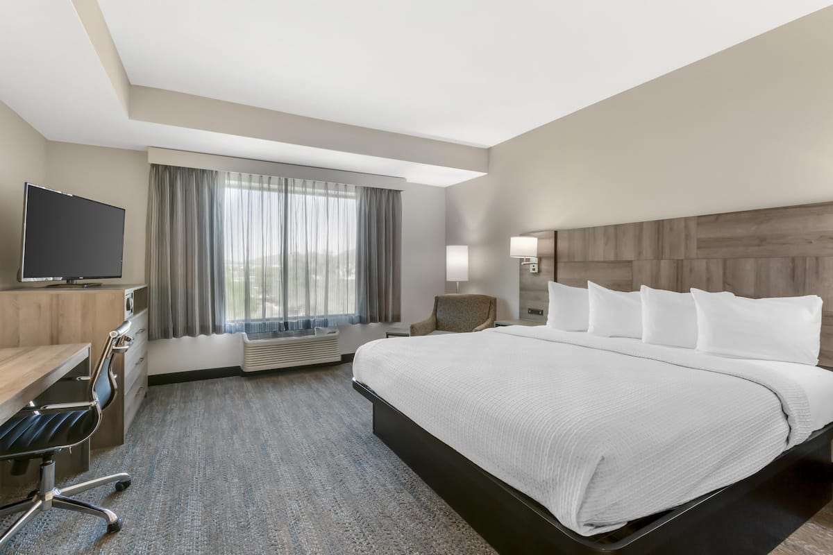 A hotel room with a large bed, a desk with a chair, a flat-screen TV, a window with curtains, and a nightstand with a lamp.