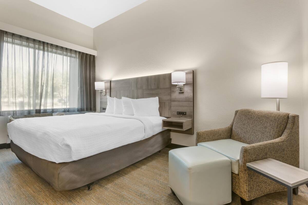 Standard Room, 1 King Bed, Accessible, Refrigerator & Microwave | Desk, laptop workspace, cribs (free), WiFi (free)