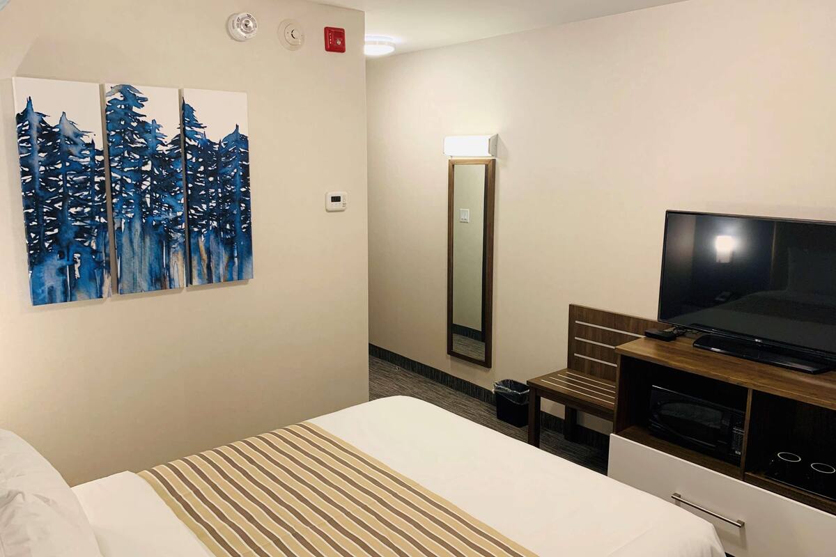 Habitación de hotel con cama, televisor, un cuadro, un espejo y una pequeña mesa con microondas.