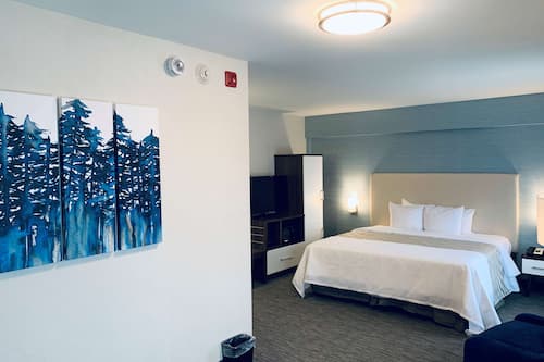 Standard Room, 1 King Bed with Sofa bed, Non Smoking, Refrigerator & Microwave (with Sofabed)