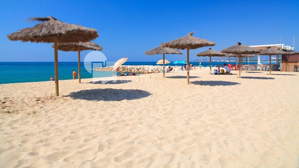 Playa