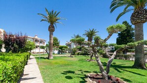 Un jardín bien cuidado con palmeras, un sendero de piedra y setos podados.